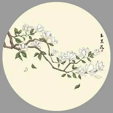 玉兰花图片
