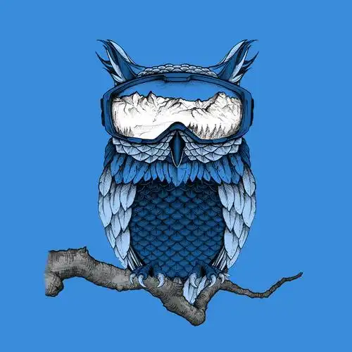 samueladamscoldsnap啤酒包装插画猫头鹰素描拟人化创意设计