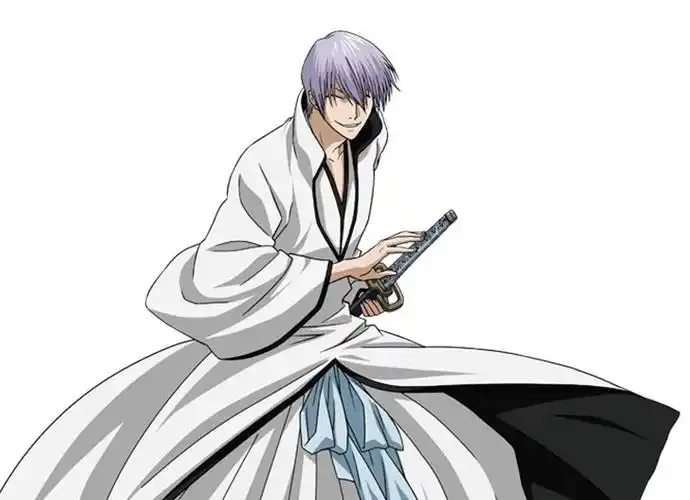 展开全部 我能想到的 就是 死神的 市丸银了