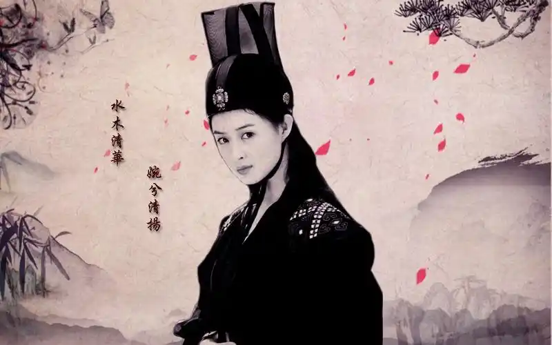 【一遇婉妹误终身】【木婉清】|紫禁花园|蒋欣角色剪辑