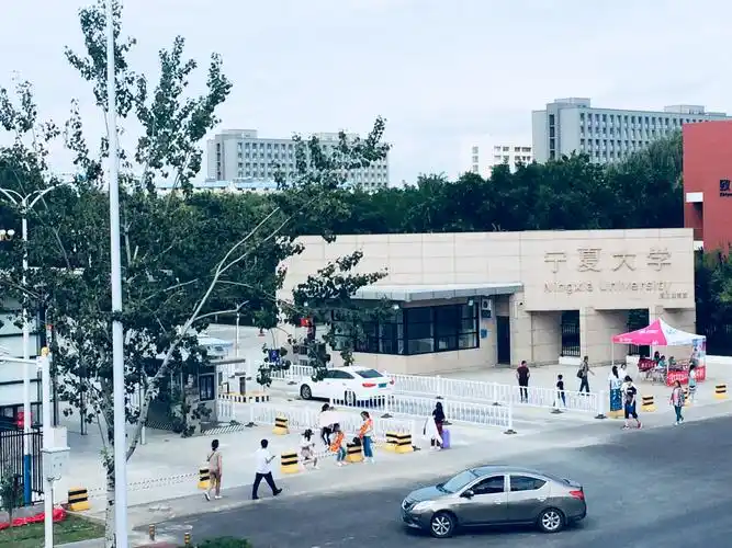 塞上江南行day2西夏王陵宁夏大学南关清真大寺