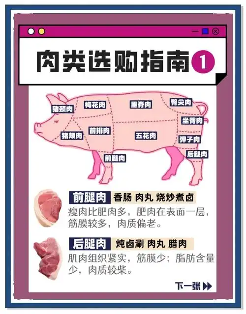猪肉选购,烹饪,保存全攻略