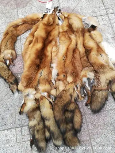 整张狐狸皮 进口狐狸皮 美国蓝狐 红狐 灰狐 白狐 玄狐 银狐