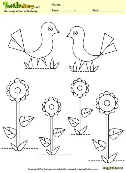 鸽子花朵填色图片大全填色图片下载