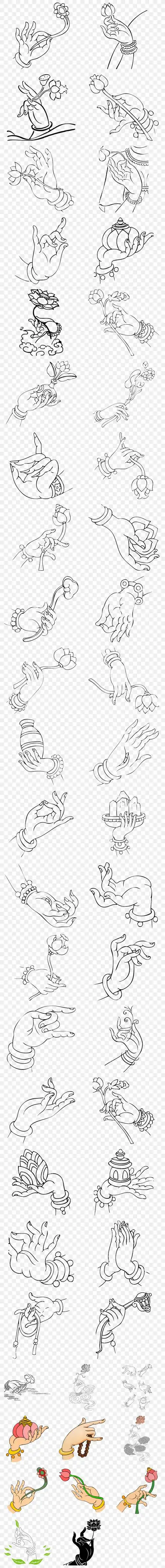 手绘 佛教 佛手柑 佛手花 海报 禅意 文化 线稿 透明 png 元素 免抠图