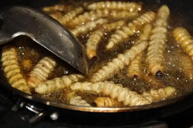 农村能吃的五种虫子看着可怕吃起来却美味能与城市菜肴相媲美