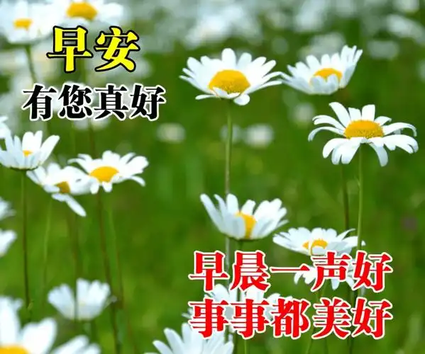 微信早上好经典问候祝福语句子清晨漂亮的美女图片早安祝福语