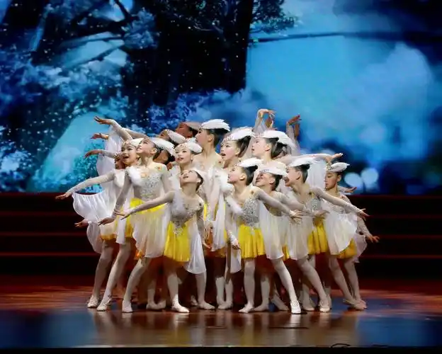 "舞"里一纪,"艺"满七里--七里小学舞蹈艺术建设12周年