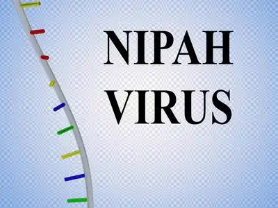 蝙蝠病毒图片-蝙蝠病毒素材-蝙蝠病毒插画-摄图新视界