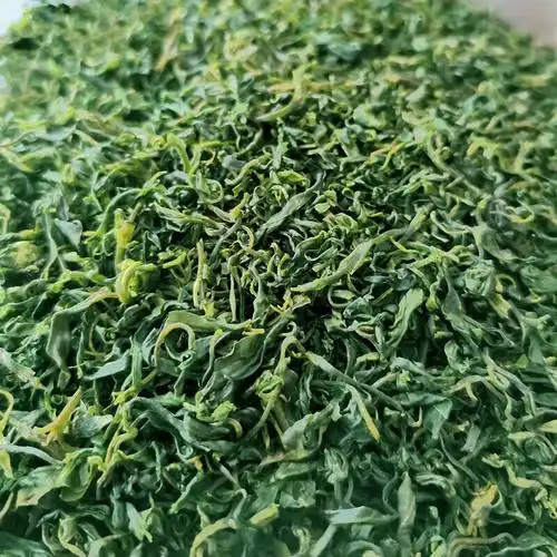 余庆小叶苦丁茶明前特级贵州青山绿水嫩芽野生2021新茶叶250g 250克