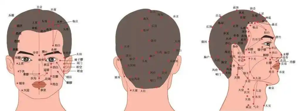 足浴_人体_经络