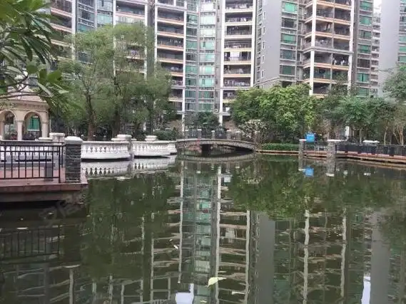 【多图】骏景湾豪庭(蓬江),北新租房,汇悦城旁 笋到无朋友 骏景湾豪庭