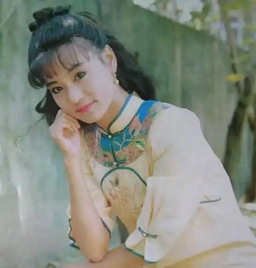 出演了琼瑶《六个梦》系列,电视剧——《哑妻》,《三朵花》,《雪珂》