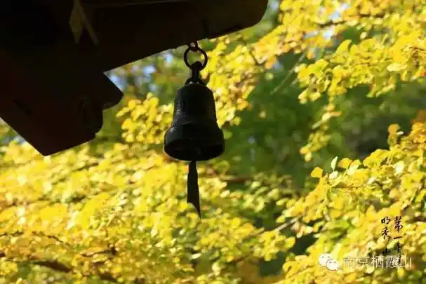 这种庙宇殿堂屋角的铃铛现今都叫做"风铃",亦称惊鸟铃,护花铃.