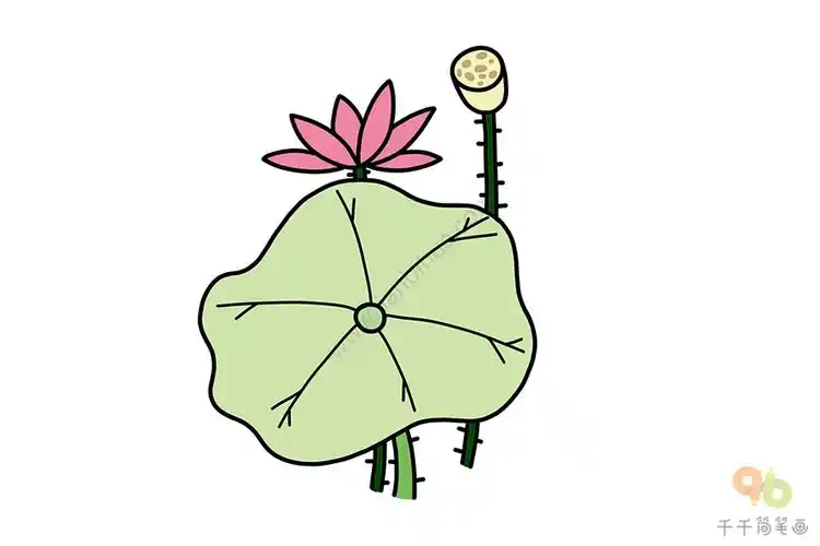 儿童画荷花荷叶简笔画图片