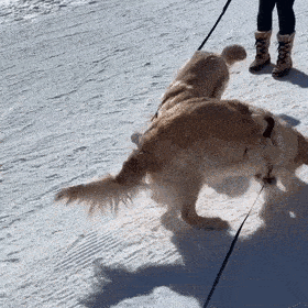 280_280gif 动态图 动图