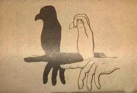 打开手电筒,让我们一起来玩有趣的手影游戏吧!