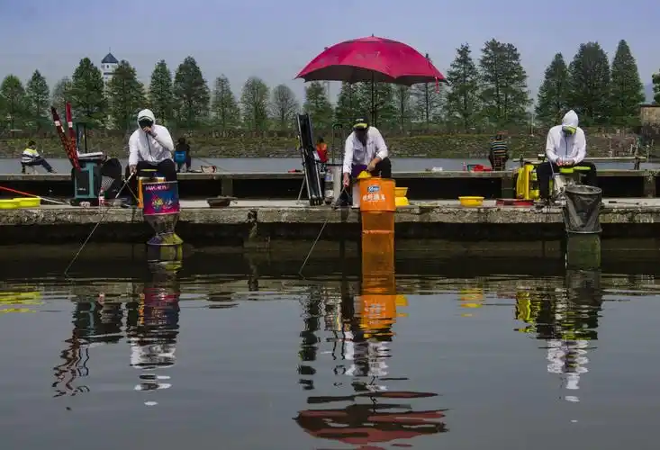 浙江省钓鱼协会会员联赛