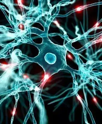 树突状细胞免疫治疗的困惑与希望