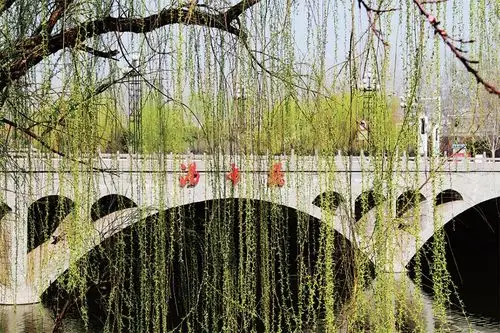 柳暗花明又一春