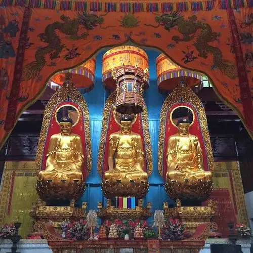 祗园禅寺位于九华山景区内,山下大巴到达终点站下车即到.