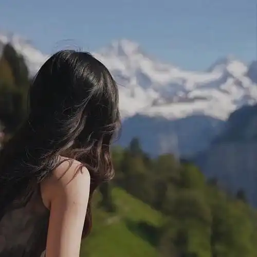 有没有好看的背影头像