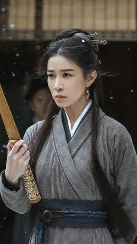 燕云台 萧胡辇 佘诗曼