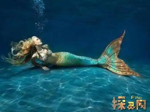 世界上最后一条美人鱼可能只是一条海牛真实图片曝光