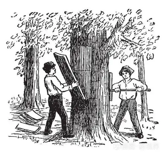 从软木橡木树皮外层获得的浮力淡褐色物质复古线画或雕刻插图