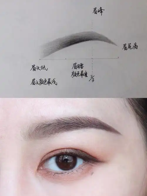 画眉详细步骤解析教程!画眉绝招毫无保留给你们了!