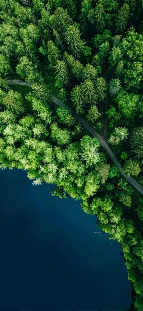 夏天当然要用清凉的绿色壁纸啊系列四