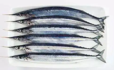 先来说说所谓的青针鱼,就是颌针鱼,又叫长嘴鱼,针良鱼,是一种暖水性