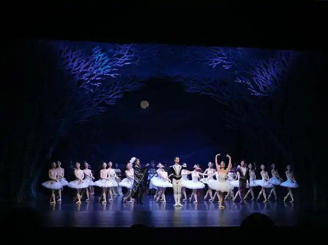 格鲁吉亚国家芭蕾舞团天鹅湖,2019年11月26日,厦门沧江剧院,厦门