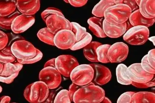 血液粘稠是什么情况,有多大危害?