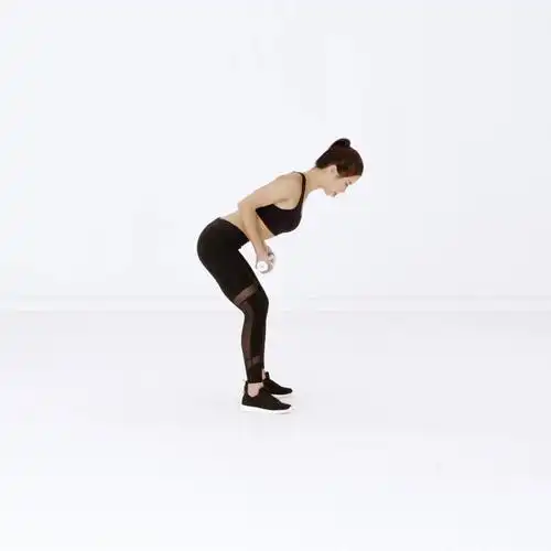 手臂自然下垂 屈肘,将小哑铃向身体斜后方拉,在动作顶部用力收缩背部