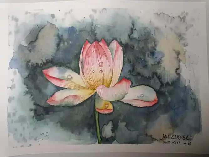 夏天就要荷花来配既然睡不着就画画吧67画完心情也好了以前,手工