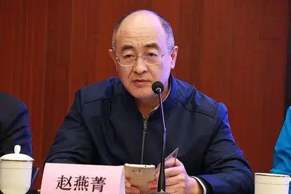 其中,厦门大学厦门大学经济学院教授赵燕青提出的将养老金与生育挂钩