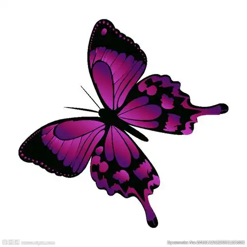 蝴蝶矢量图图片