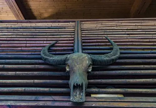 深入佤寨秘境稻田庄园酒店,探秘曾经恐怖的猎人头文化