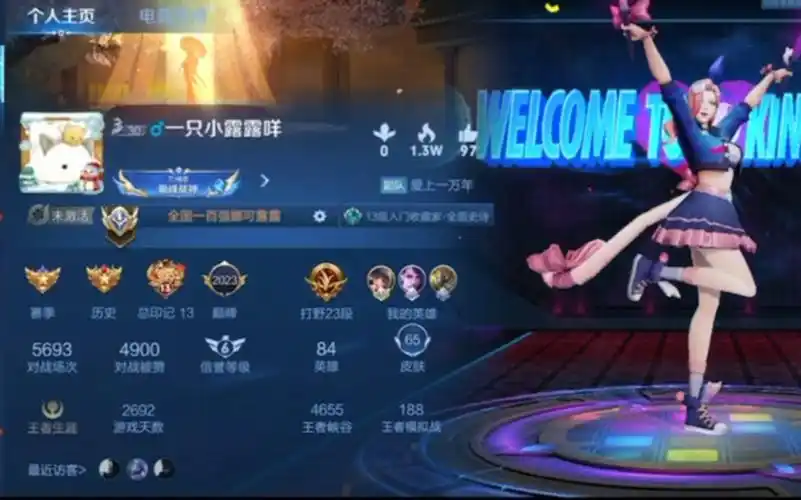 王者荣耀代练代打工作室.3天拿下娜可露露小国标.