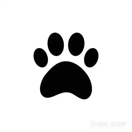 白色背景上的狗脚印