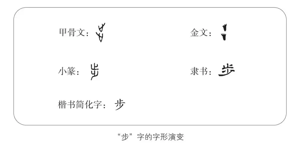 "步"的甲骨文,金文字形像一上一下两只脚,脚趾朝上,表示双脚前后相随