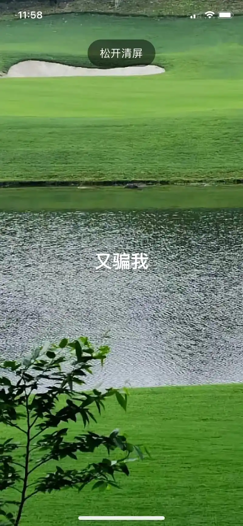 又骗我又骗我又骗我 你的一句好好在一起 骗了我一辈子 #伤感 - 抖音