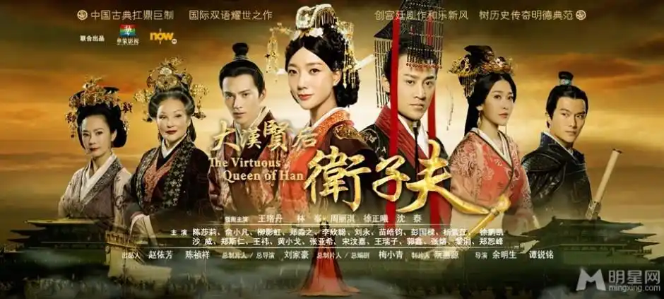 卫子夫电视剧演员精美海报