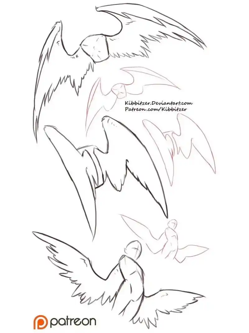 72鸟类翅膀的画法72 ☆很多新手在画翅膀的时候无从下手,本质是不