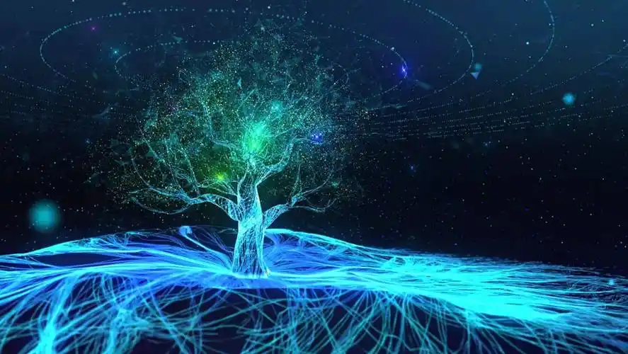 学视频剪辑应该从那里开始剪映是什么软件