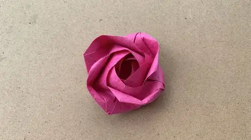 玫瑰花怎么折视频(玫瑰花怎么折视频?