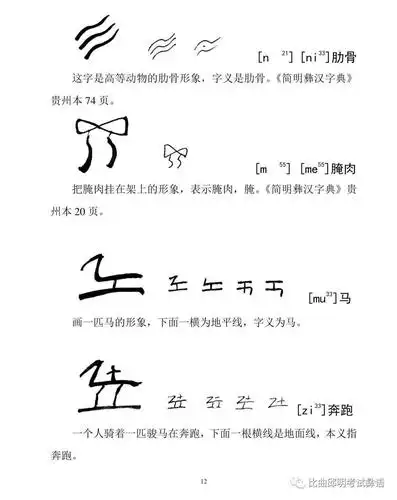 古彝文象形字动物篇会彝语就会读的彝文