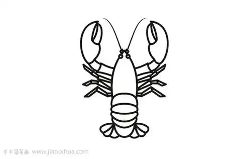 龙虾简笔画图片