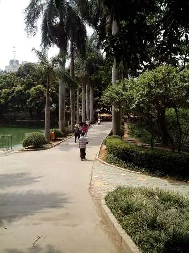 森林广场,老百姓休闲避暑的好去处